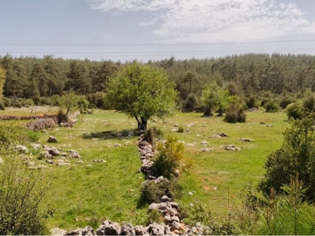 DENİZE YAKIN 300 M2 KONUT YAPI KAYIT BELGELİ SATILIK 3069 M2 ARAZİ - Görsel 16