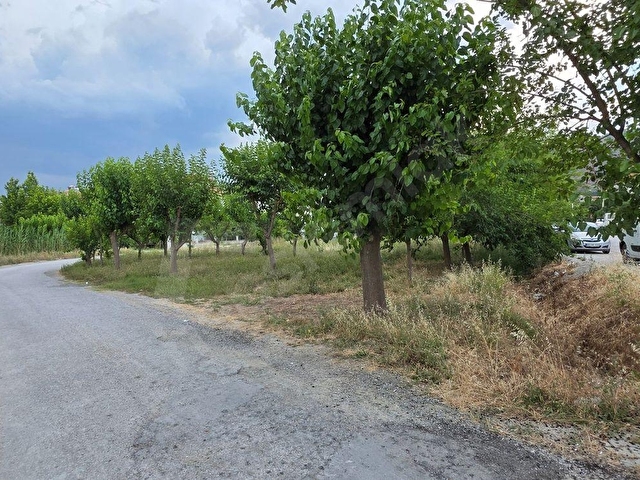 ORTACA BAHÇELİEVLER SATILIK ARSA - Görsel 28