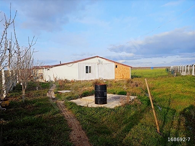 TEKİRDAĞ HAYRABOLU KANDAMIS DA SATILIK KELEPİR ÇİFTLİK - Görsel 12