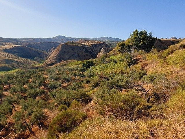 Şarköy yukarıkalamış mevkiinde 8870m2 zeytinlik - Görsel 8