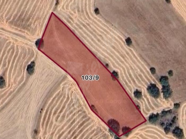 KARAARDIÇ KÖYÜ ALANCIK’ta 4350 M ARAÇ TAKASI OLUR - Görsel 2