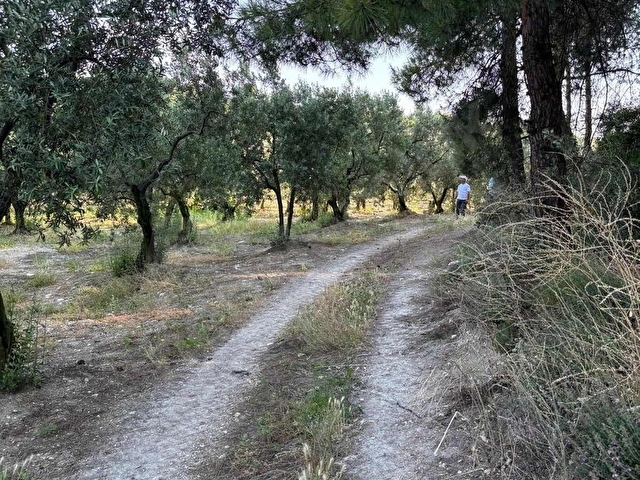 BURSA MUDANYA AYDINPINAR MAHALLESI - Görsel 23