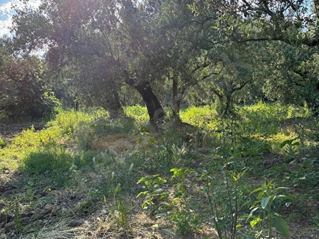BURSA MUDANYA AYDINPINAR MAHALLESI - Görsel 12