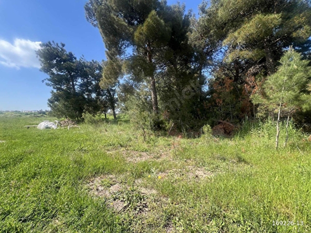 GEYİKLİ SAHİLDE DENİZ MANZARALI FIRSAT ARSA - Görsel 9