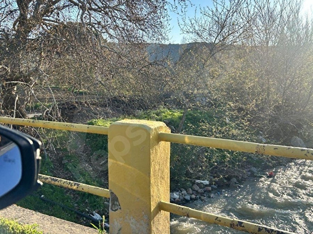 Balıkesir Burhaniye Körfez Bahadınlı SATILIK ZEYTİNLİK - Görsel 4