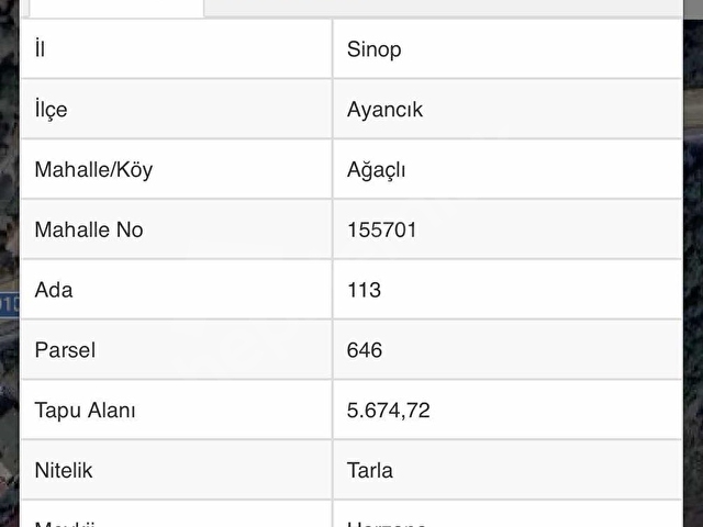 SİNOP KARA YOLUNA CEPHE VİLLA YAPIMINA UYGUN 5,674 m2 TARLA - Görsel 6