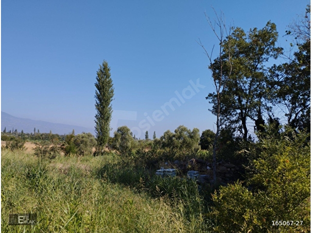 SATILIK TARLA AYDIN /BOZDOĞAN / KAZANDERE MAHALLESİ - Görsel 7
