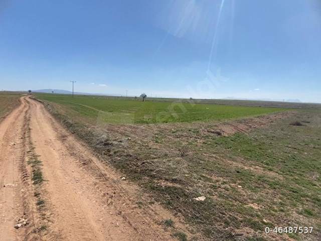 *SAHİBİNDEN SATILIK (3.950m2) KELEPİR TARLA* - Görsel 6