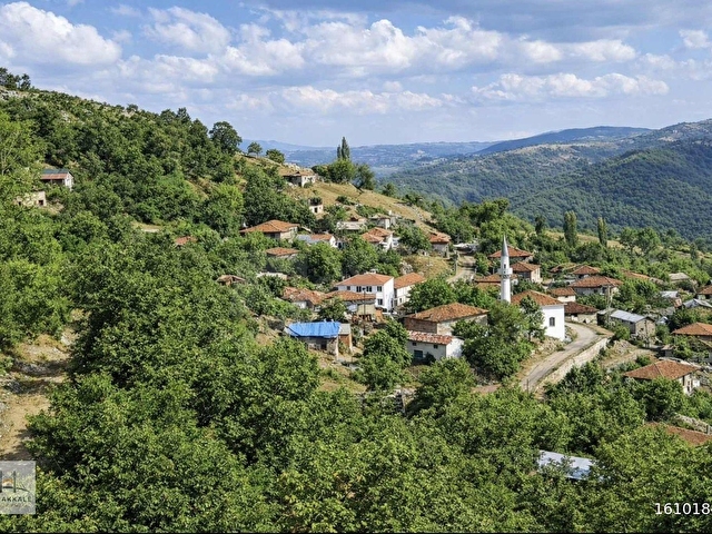 KIRKGEÇİT TERMAL KAPLICA BÖLGESİNDE SATILIK 2.800 M2 TARLA