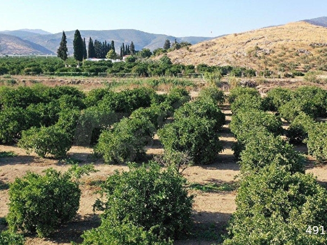 Selçuk Toki Karşısı Satılık Arazi - Görsel 3