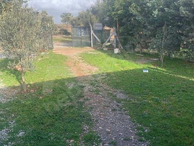 DİDİM ZÜMRÜTTEPEDE SATILIK ARSA - Görsel 8