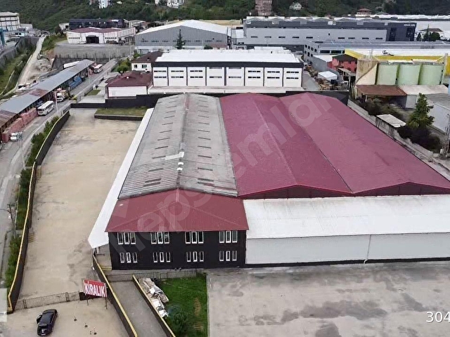 Arsin Yeşilyalı Kiralık