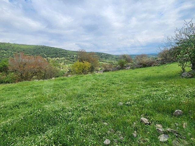 RAHMANLAR KÖYÜNDE 2.971 MT KÖY CİVARI SATILIK TARLA
