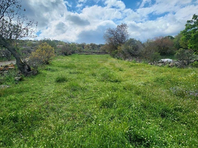 RAHMANLAR KÖYÜNDE 2.971 MT KÖY CİVARI SATILIK TARLA - Görsel 17