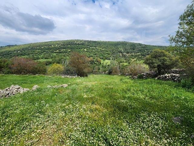 RAHMANLAR KÖYÜNDE 2.971 MT KÖY CİVARI SATILIK TARLA - Görsel 2