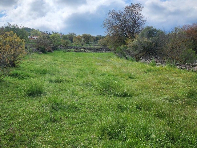 RAHMANLAR KÖYÜNDE 2.971 MT KÖY CİVARI SATILIK TARLA - Görsel 12