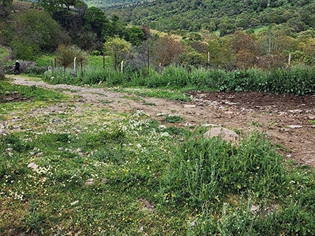RAHMANLAR KÖYÜNDE 2.971 MT KÖY CİVARI SATILIK TARLA - Görsel 28