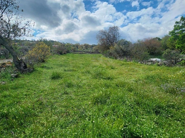 RAHMANLAR KÖYÜNDE 2.971 MT KÖY CİVARI SATILIK TARLA - Görsel 11
