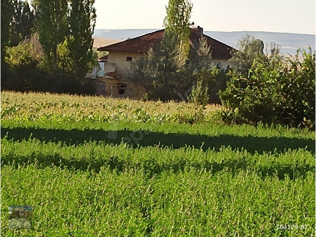 YALVAÇ KURUSARI YEŞİLLİKLER İÇERİSİNDE İMARLI 520M2 SATILIK ARSA - Görsel 20
