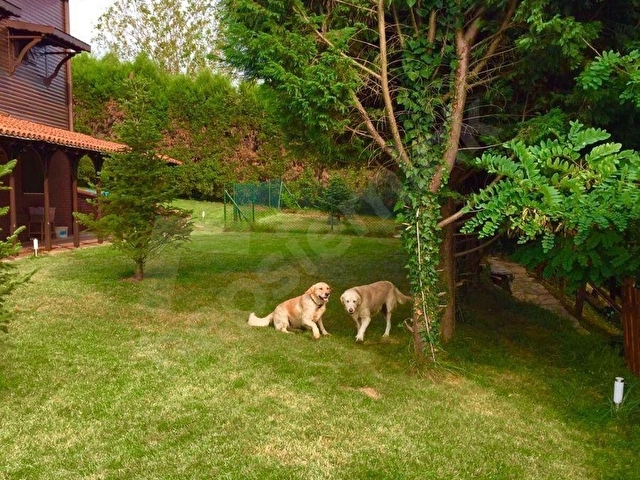 SAPANCA KURUÇEŞMEDE 2355 M2 İÇİNDE SATILIK  MÜSTAKİL VİLLA... - Görsel 14