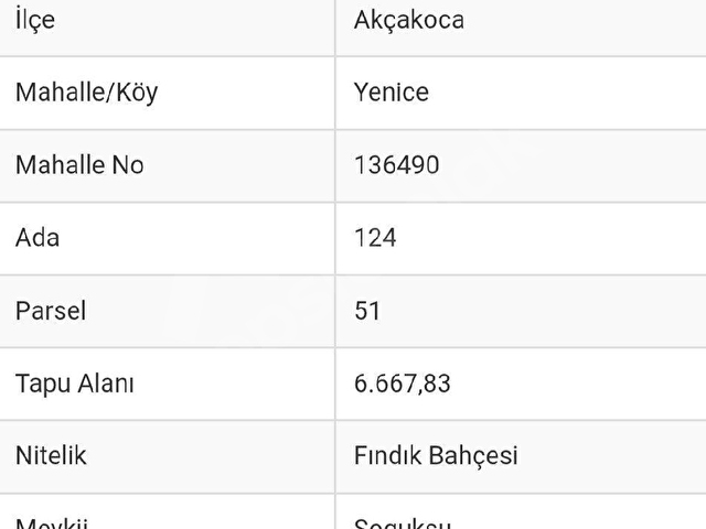SATILIK FINDIK BAHÇESİ - Görsel 9