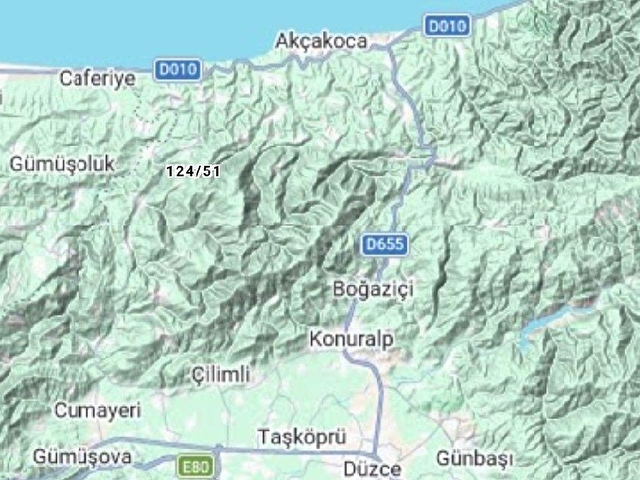 SATILIK FINDIK BAHÇESİ - Görsel 13