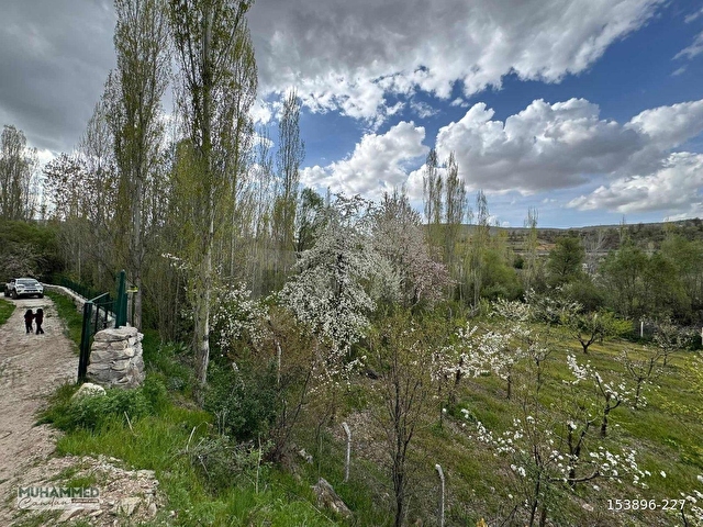 KONYA ANTALYA YOLUNA VE DEREYE YAKIN SUYU OLAN CAZİP BUTİK BAHÇE - Görsel 18