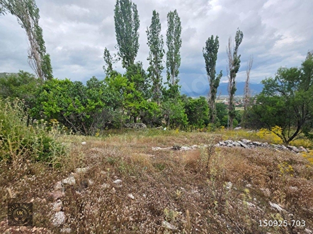 🚨 ACİL SATILIK – SEYDİKEMER YAYLA KINIK’TA KUPO​N ARAZİ! 🚨Seydikemer Yayla Kınık - Görsel 5
