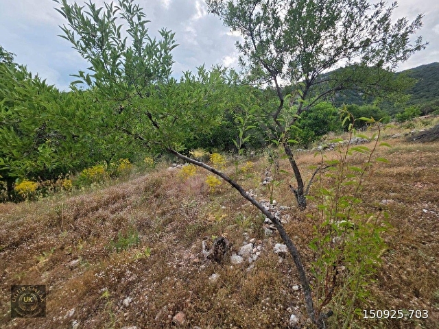 🚨 ACİL SATILIK – SEYDİKEMER YAYLA KINIK’TA KUPO​N ARAZİ! 🚨Seydikemer Yayla Kınık - Görsel 6