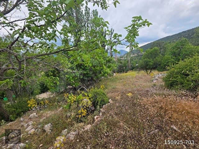 🚨 ACİL SATILIK – SEYDİKEMER YAYLA KINIK’TA KUPO​N ARAZİ! 🚨Seydikemer Yayla Kınık - Görsel 10