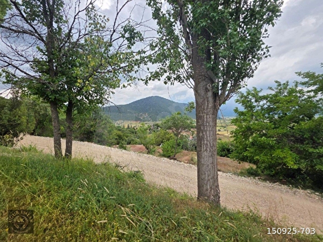 🚨 ACİL SATILIK – SEYDİKEMER YAYLA KINIK’TA KUPO​N ARAZİ! 🚨Seydikemer Yayla Kınık - Görsel 13
