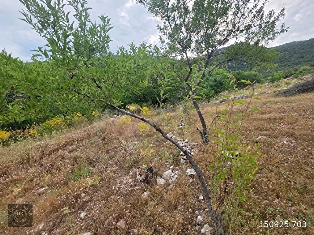 🚨 ACİL SATILIK – SEYDİKEMER YAYLA KINIK’TA KUPO​N ARAZİ! 🚨Seydikemer Yayla Kınık - Görsel 20