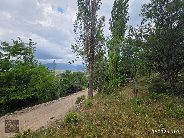 🚨 ACİL SATILIK – SEYDİKEMER YAYLA KINIK’TA KUPO​N ARAZİ! 🚨Seydikemer Yayla Kınık - Görsel 24