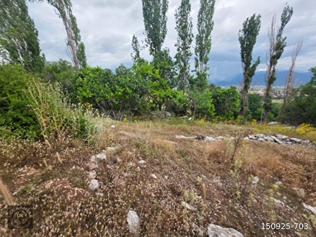 🚨 ACİL SATILIK – SEYDİKEMER YAYLA KINIK’TA KUPO​N ARAZİ! 🚨Seydikemer Yayla Kınık - Görsel 28