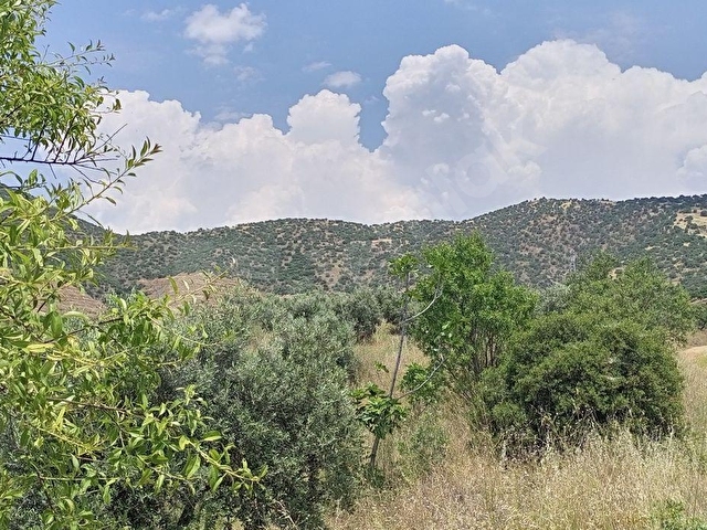 BÜYÜK VE UCUZA ARAZİM OLSUN DİYORSAN İŞTE FIRSAT KAPINIZA GELDİ. AÇIKLAMALARI OKUYUN LÜTFEN - Görsel 25