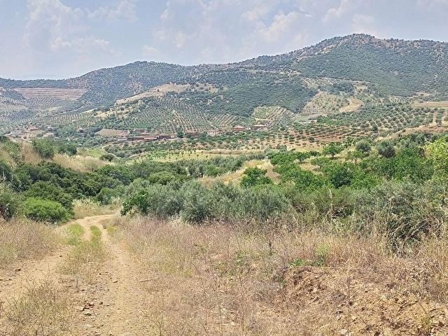 BÜYÜK VE UCUZA ARAZİM OLSUN DİYORSAN İŞTE FIRSAT KAPINIZA GELDİ. AÇIKLAMALARI OKUYUN LÜTFEN - Görsel 30