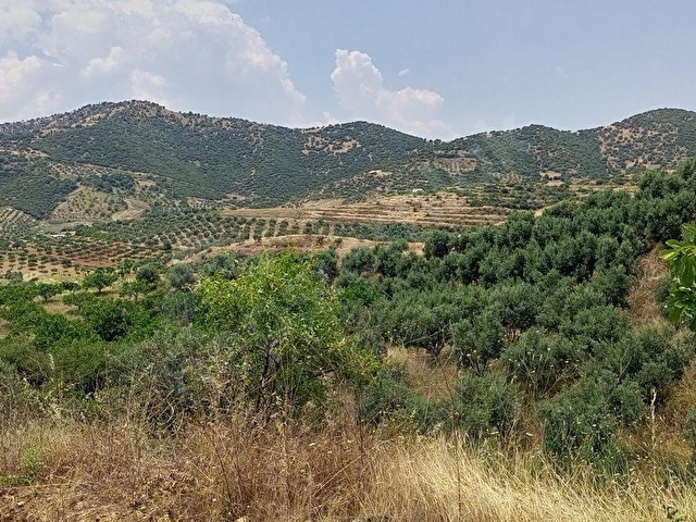 BÜYÜK VE UCUZA ARAZİM OLSUN DİYORSAN İŞTE FIRSAT KAPINIZA GELDİ. AÇIKLAMALARI OKUYUN LÜTFEN - Görsel 29