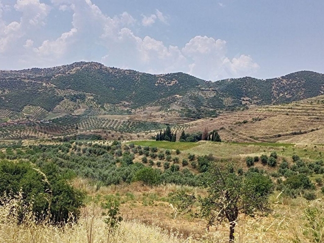 BÜYÜK VE UCUZA ARAZİM OLSUN DİYORSAN İŞTE FIRSAT KAPINIZA GELDİ. AÇIKLAMALARI OKUYUN LÜTFEN - Görsel 2