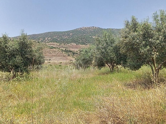 BÜYÜK VE UCUZA ARAZİM OLSUN DİYORSAN İŞTE FIRSAT KAPINIZA GELDİ. AÇIKLAMALARI OKUYUN LÜTFEN - Görsel 17