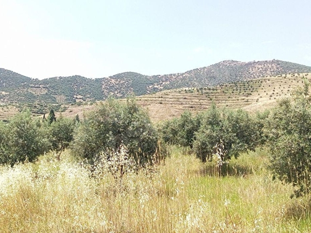 BÜYÜK VE UCUZA ARAZİM OLSUN DİYORSAN İŞTE FIRSAT KAPINIZA GELDİ. AÇIKLAMALARI OKUYUN LÜTFEN - Görsel 14