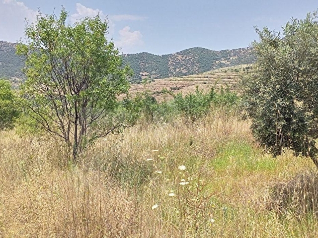 BÜYÜK VE UCUZA ARAZİM OLSUN DİYORSAN İŞTE FIRSAT KAPINIZA GELDİ. AÇIKLAMALARI OKUYUN LÜTFEN - Görsel 10