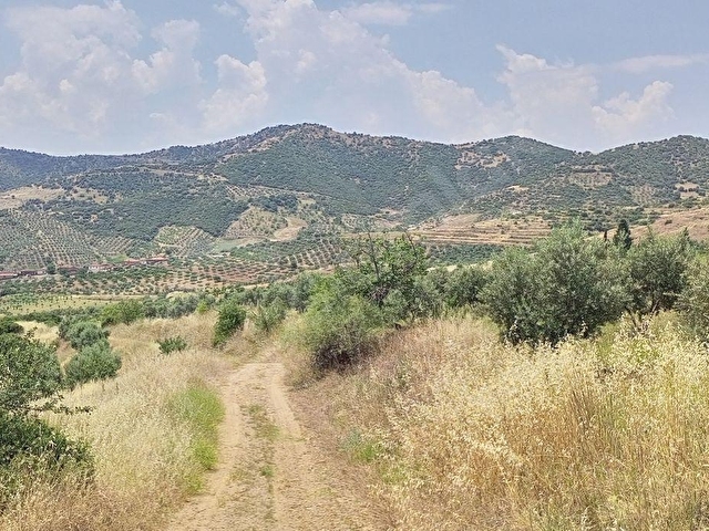BÜYÜK VE UCUZA ARAZİM OLSUN DİYORSAN İŞTE FIRSAT KAPINIZA GELDİ. AÇIKLAMALARI OKUYUN LÜTFEN - Görsel 15