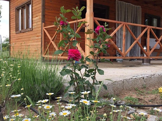 AKÖREN TÜLCE 729 M2 MÜSTAKİL TAPU SATILIK BAHÇE - Görsel 2