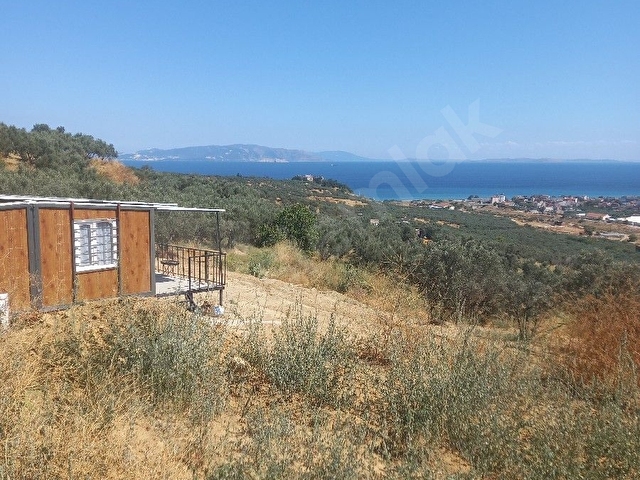 FULL DENIZ MANZARALI SATILIK 1462 METREKARE TEK TAPU MUSTAKIL PARSEL - Görsel 19
