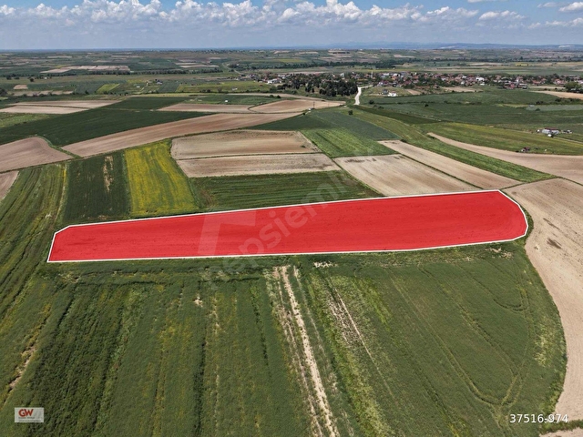 TEKİRDAĞ KAPAKLI KARLIDA 11.550m2 ACİL İHTİYAÇTAN SATILIK TARLA - Görsel 8