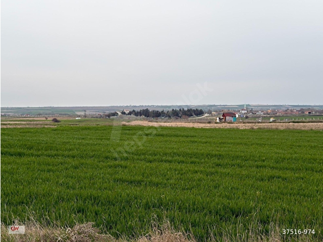 TEKİRDAĞ KAPAKLI KARLIDA 11.550m2 ACİL İHTİYAÇTAN SATILIK TARLA - Görsel 15