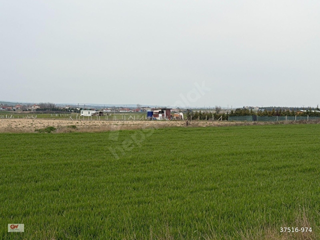 TEKİRDAĞ KAPAKLI KARLIDA 11.550m2 ACİL İHTİYAÇTAN SATILIK TARLA - Görsel 7