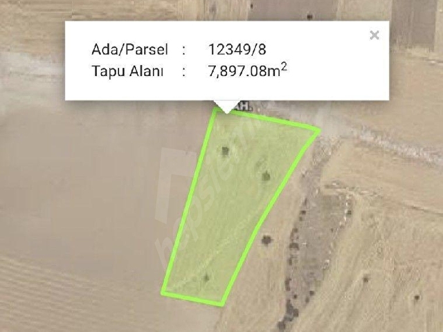 KÜÇÜKBÜRÜNGÜZ DE YOLA CEPHE SATILIK TARLA - Görsel 2