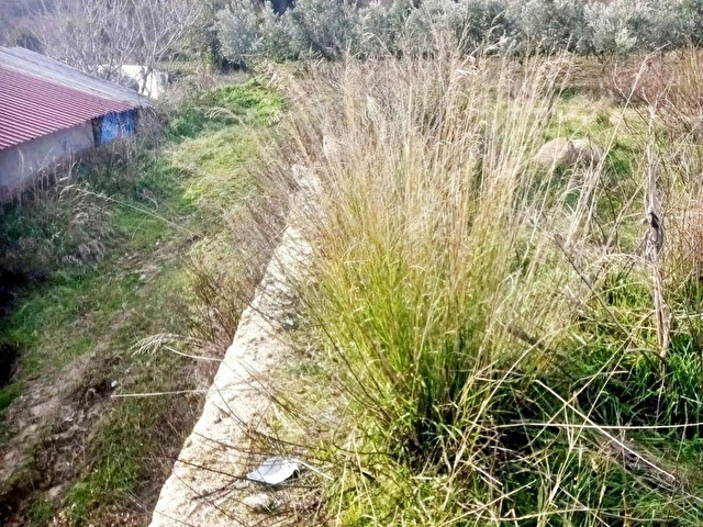 ANTAKYA KARLISU MH.DE SATILIK 645 m2 BAHÇE - Görsel 9