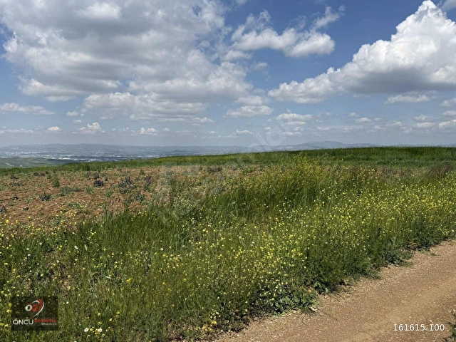 ÖNCÜDEN KIZIK MAH.KÖŞE BAŞI İMARA SINIR 2.580 M2 YATIRIM FIRSAT - Görsel 29